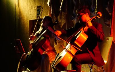 Das Menuhin Konzert am 26.10.23 an der Ludwig Guttmann  Schule Karlsbad-Langensteinbach